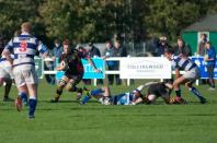 Tynedale v Bees