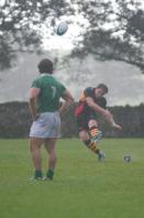 wharfedale v bees