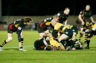 Bees v cornish pirates