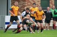 Luctonians v Bees