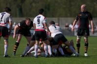 Bees v Moseley (po)