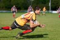 Bees v Westoe