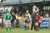 Bees v Wharfedale