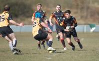 Bees v Luctonians