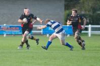 Tynedale v Bees