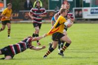 Cornish Pirates v Bees