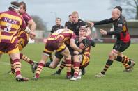 Bees v Sedgley Park