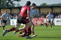 jersey v bees