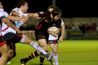 Bees v Moseley