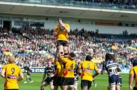 Worcester v Bees