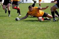 Bees v Otley