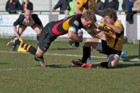 Bees v Esher (po)