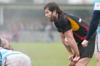 Bees v Worcester