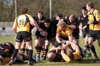 Bees v Esher (po)