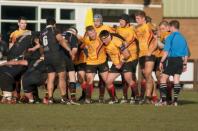 Hull v Bees