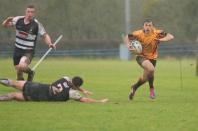 Luctonians v Bees