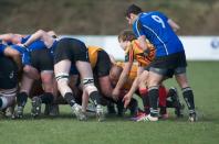 Bees v Otley