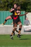 Bees v Esher