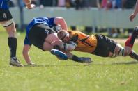 Bees v Otley
