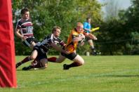 Sheffield Tigers v Bees