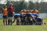 Bees v Otley
