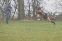 Bees v Leicester Lions