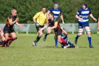 Bees v Darlington MP