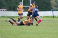 Bees v Westoe