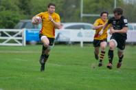 Esher v Bees (po)