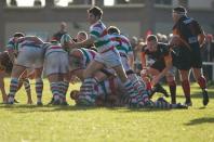 Stockport v Bees