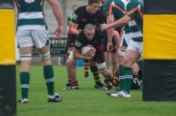 Bees v Ealing