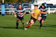 Dudley K v Bees