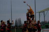 Moseley v Bees
