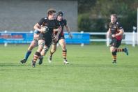 Tynedale v Bees