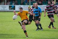 Cornish Pirates v Bees