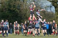 Bees v Dudley K