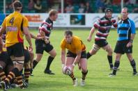 Cornish Pirates v Bees