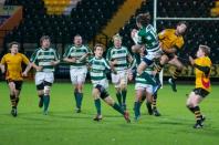 Nottingham v Bees