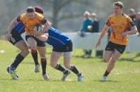 Bees v Otley