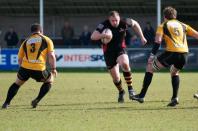 Bees v Esher (po)