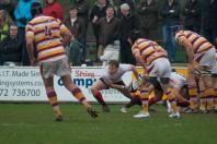 Fylde v Bees