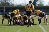 Bees v Esher (po)