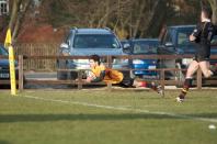 Hull v Bees
