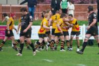 Esher v Bees (po)