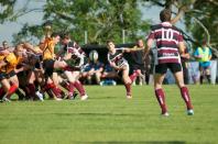 Sheffield Tigers v Bees