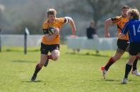 Bees v Otley