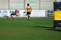 Bees v Esher