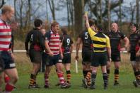 Bees v Rosslyn Park