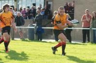 Sheffield Tigers v Bees