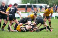 Esher v Bees (po)